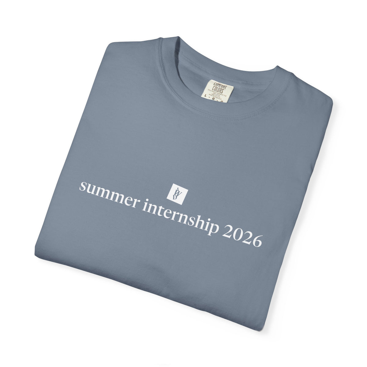 TWD Summer Intern '26 Tee