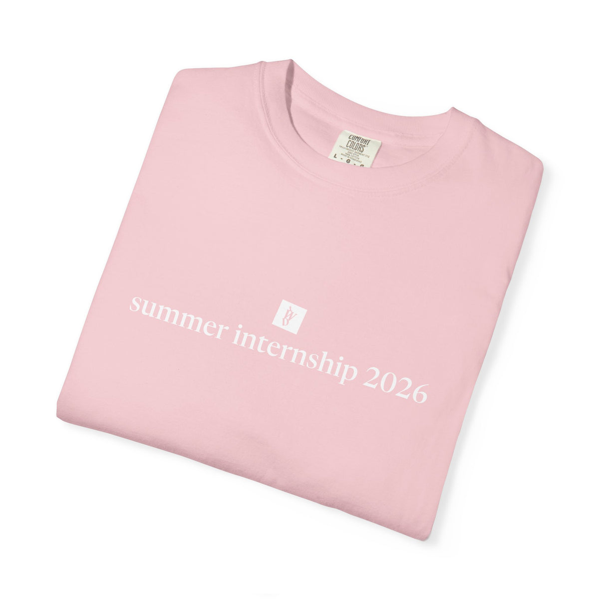 TWD Summer Intern '26 Tee