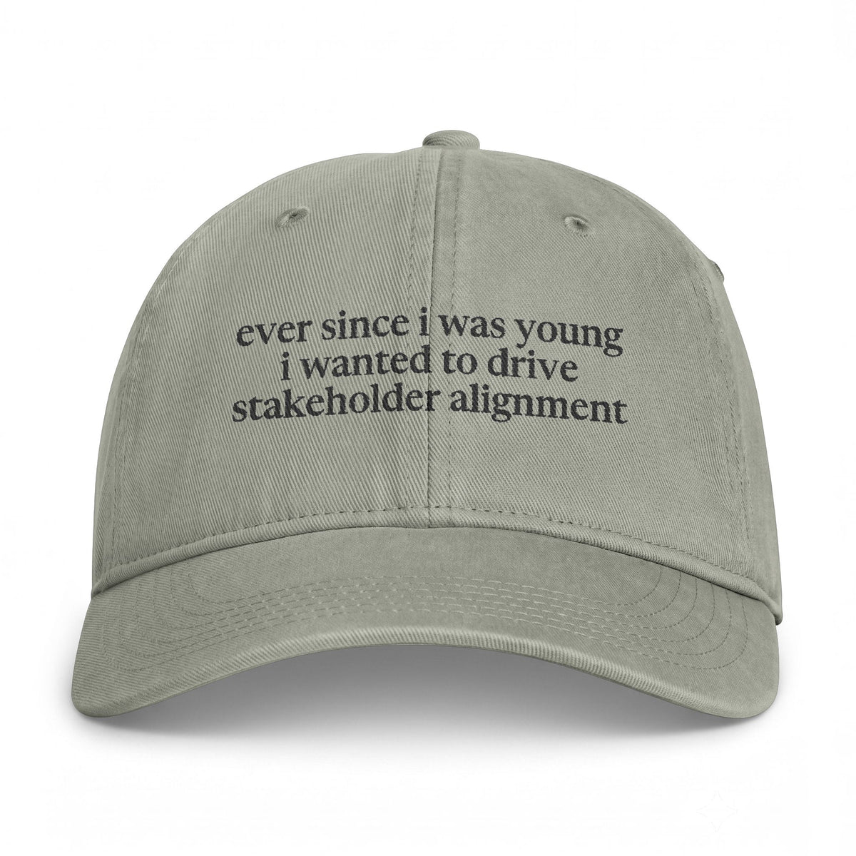 Stakeholder Alignment Hat