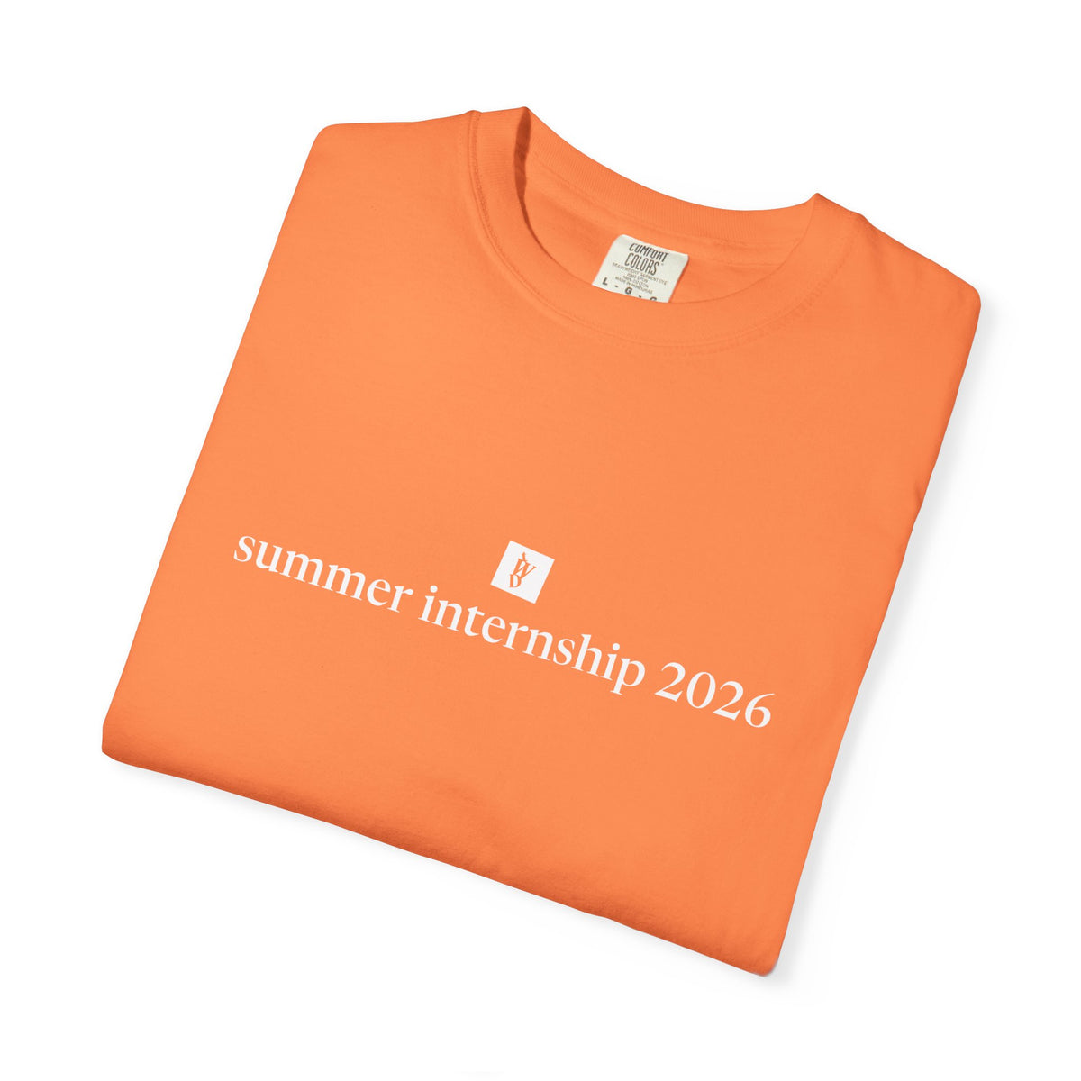 TWD Summer Intern '26 Tee