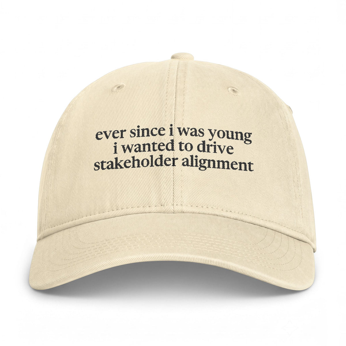 Stakeholder Alignment Hat