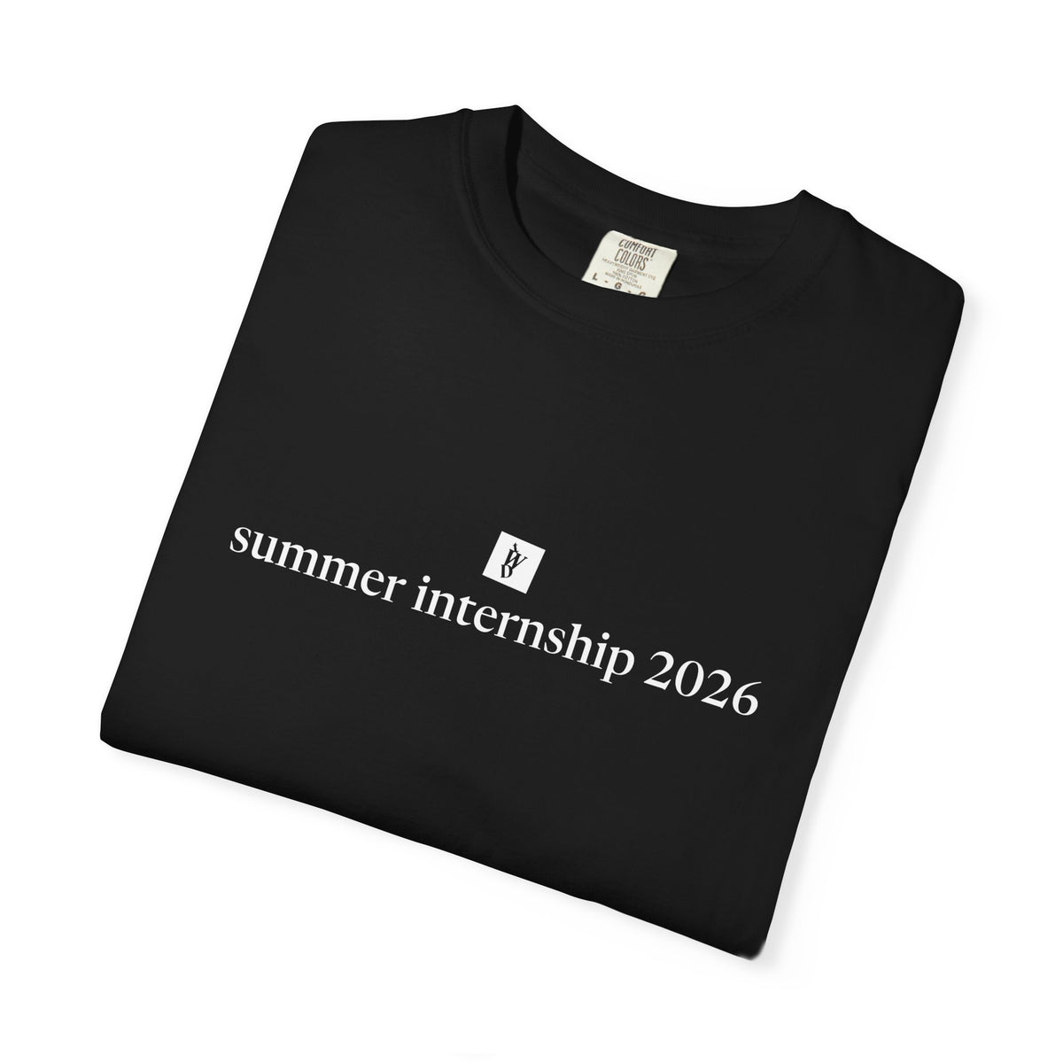 TWD Summer Intern '26 Tee